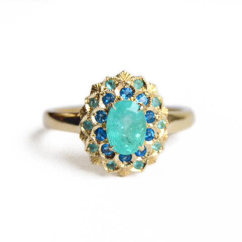 Paraiba and Hauyne Ring
